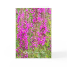 Verspreid mijn vleugels en vliegen: Gefeliciteerd