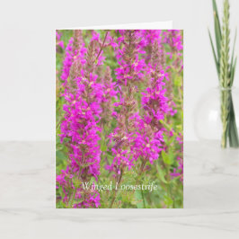 Verspreid mijn vleugels en vliegen: Gefeliciteerd Kaart