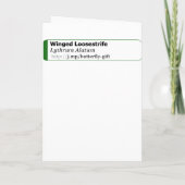 Verspreid mijn vleugels en vliegen: Gefeliciteerd Kaart (Achterkant)