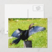 Verspreid Uw Briefkaart van Wingen (Voorkant / Achterkant)