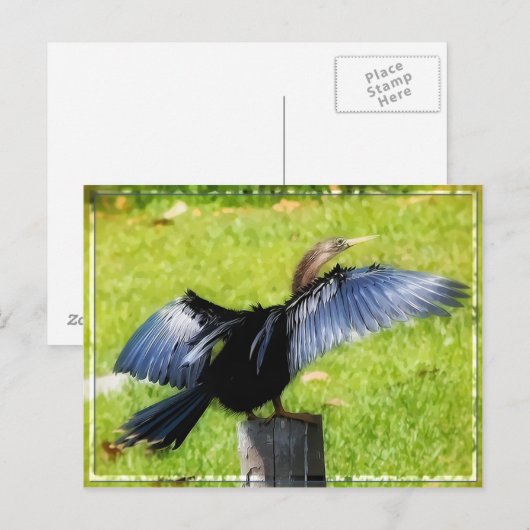 Verspreid Uw Briefkaart van Wingen (Voorkant / Achterkant)