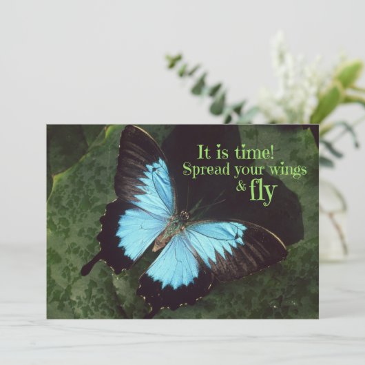 Verspreid uw vleugels en vlinder (Staand voorkant)