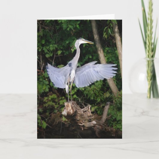 Verspreid uw wensen kaart (Voorkant)