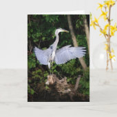 Verspreid uw wensen kaart (Gele Bloem)