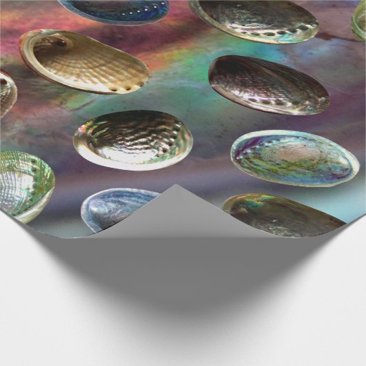 Verspreide 3D Paua Shells op Paua Achtergrond Cadeaupapier (Hoek)