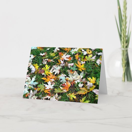 Verspreide Bladeren Feestdagen Kaart (Voorkant)