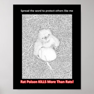 VERSPREIDEN DE WORD RAT POISON KILLS HELP WILDE LE POSTER