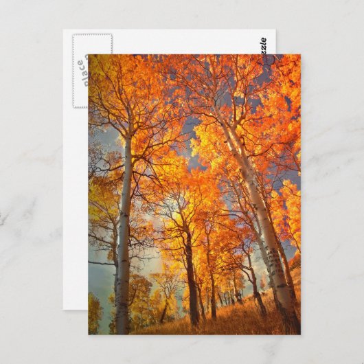 Verspreiding naar Glory Briefkaart (Voorkant / Achterkant)