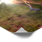 VERSPREIDING VAN DE VREDE NATIES POSTER (Hoek)