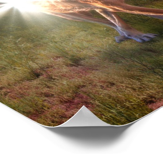 VERSPREIDING VAN DE VREDE NATIES POSTER (Hoek)