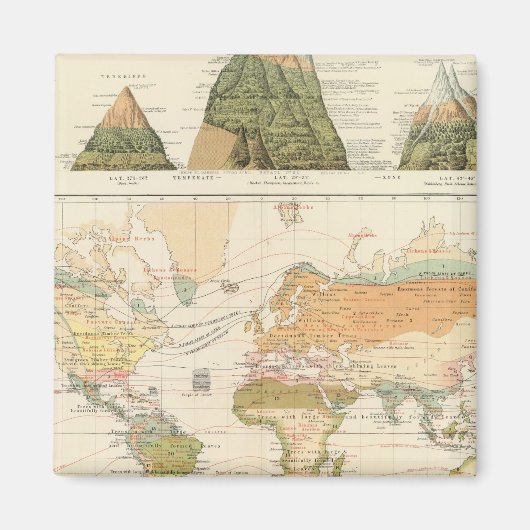 Verspreidingsvegetatie Magneet (Voorkant)