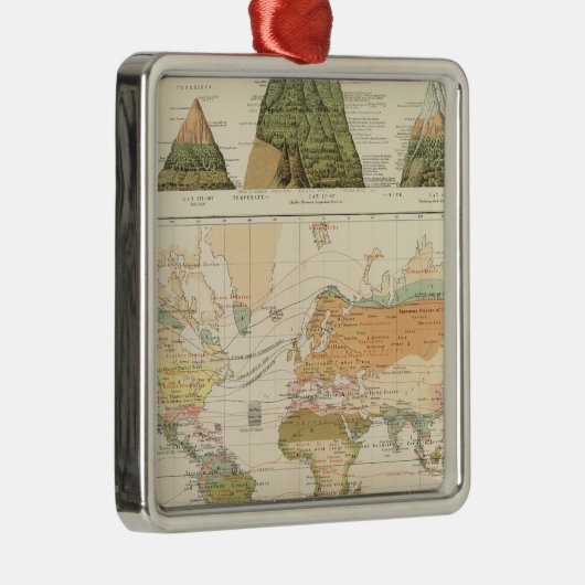 Verspreidingsvegetatie Metalen Ornament (Rechts)