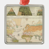 Verspreidingsvegetatie Metalen Ornament (Voorkant)