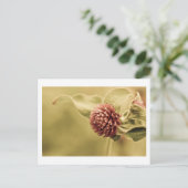 verstandige belofte briefkaart (Staand voorkant)