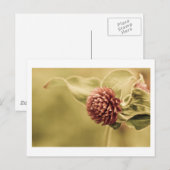 verstandige belofte briefkaart (Voorkant / Achterkant)