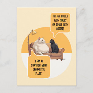 Verstandige kat filosofie humoristische quote briefkaart