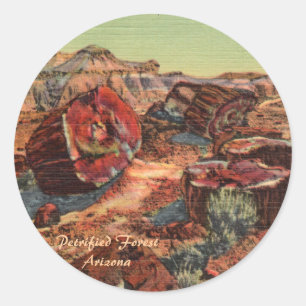 Versteend bos Arizona Ronde Sticker
