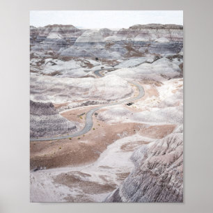 Versteend bos, desolate landschap foto poster