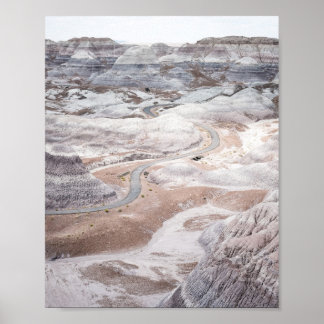 Versteend bos, desolate landschap foto poster