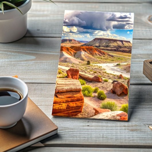 Versteend bos Nationaal Park, geschilderde woestij Briefkaart