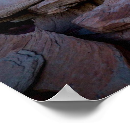 Versteend bos zonsondergang poster (Hoek)