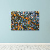 Versteend dinosaurusbot canvas afdruk (Insitu (Houten vloer))
