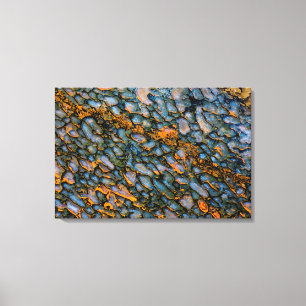 Versteend dinosaurusbot canvas afdruk