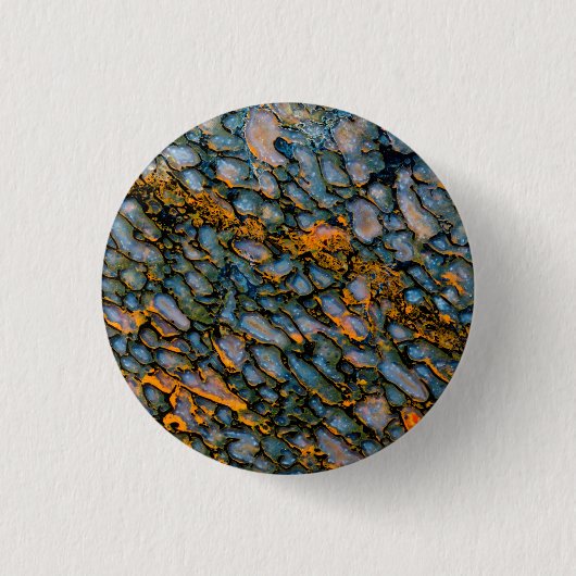 Versteend dinosaurusbot ronde button 3,2 cm (Voorkant)