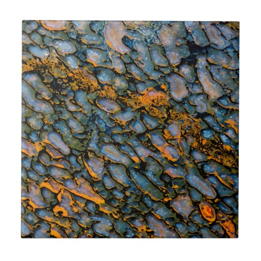 Versteend dinosaurusbot tegeltje (Voorkant)