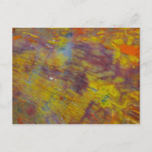 Versteend Hout Briefkaart