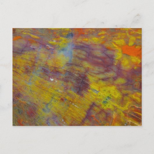 Versteend Hout Briefkaart (Voorkant)