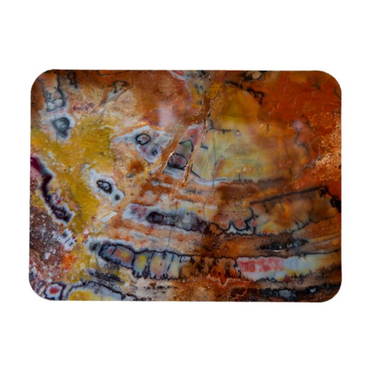 Versteend Hout Bruin Magneet (Horizontaal)