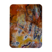 Versteend Hout Bruin Magneet (Verticaal)