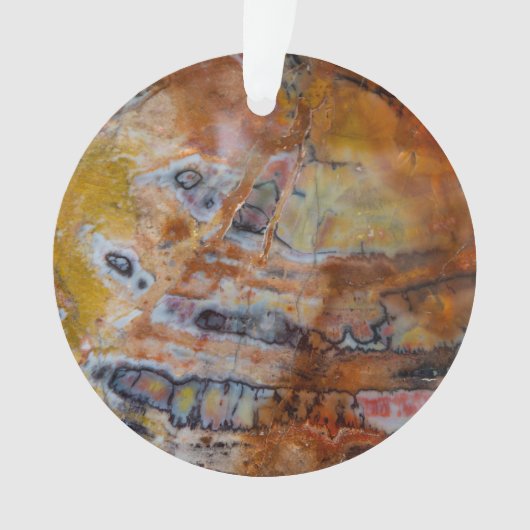 Versteend Hout Bruin Ornament (voorkant)