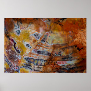 Versteend Hout Bruin Poster