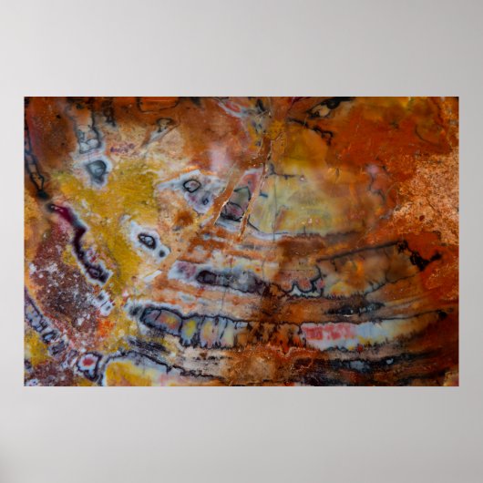 Versteend Hout Bruin Poster (Voorkant)
