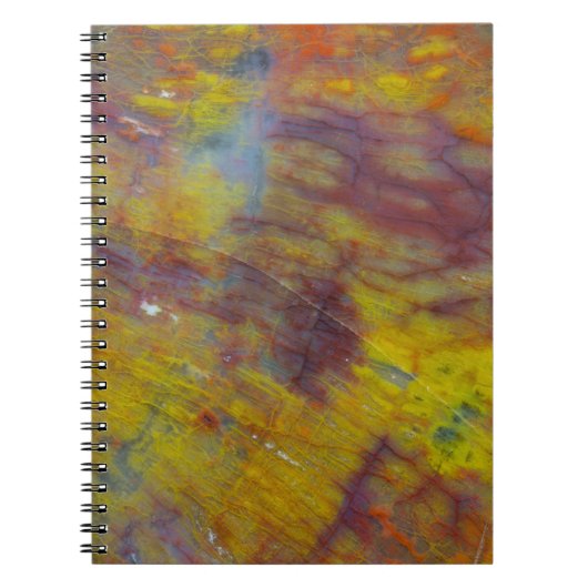 Versteend Hout Notitieboek (Voorkant)