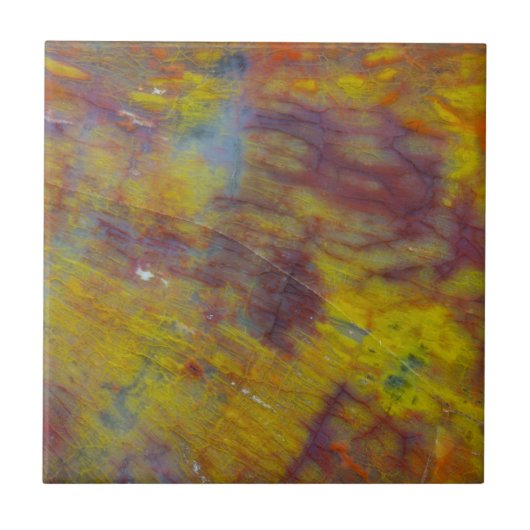 Versteend Hout Tegeltje (Voorkant)