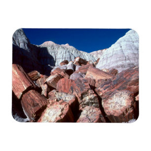 Versteend Hout, Versteend Woud NP, Arizona Magneet