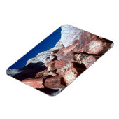 Versteend Hout, Versteend Woud NP, Arizona Magneet (Linkerzijde)