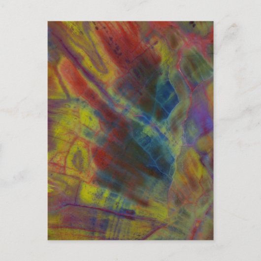 Versteend Hout Verticaal Briefkaart (Voorkant)