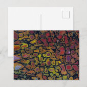 Versteend regenboog dinosaurusbot briefkaart (Voorkant / Achterkant)