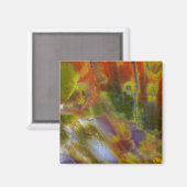 Versteend regenbooghout magneet (Voorkant / Achterkant)