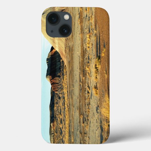 Versteend Woud Woestijn Case-Mate iPhone Case (Achterkant)