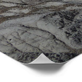 Versteende bosbadlands poster (Hoek)