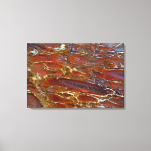 Versteende dinosaurusbot canvas afdruk