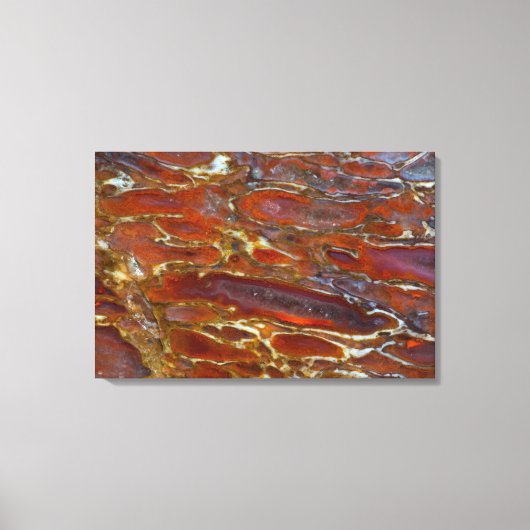 Versteende dinosaurusbot canvas afdruk (Voorkant)