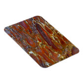 Versteende dinosaurusbot magneet (Rechterzijde)