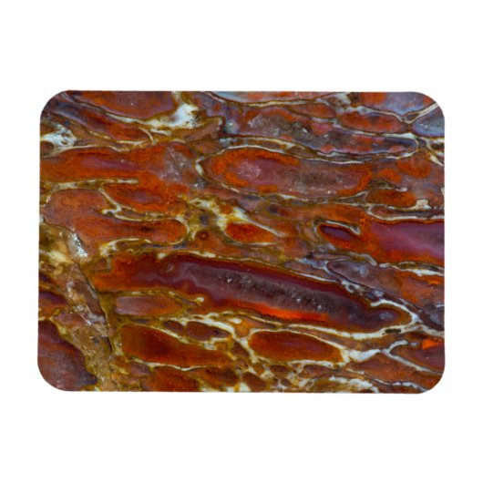 Versteende dinosaurusbot magneet (Horizontaal)