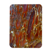 Versteende dinosaurusbot magneet (Verticaal)